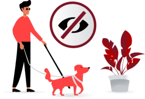 afe formation solutions pour handicap aveugle